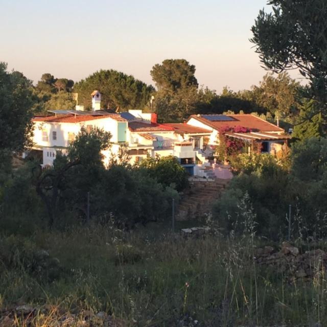 Maison d'hôtes Casa Rural Delta Del Ebro Ecoturismo à Camarles Extérieur photo