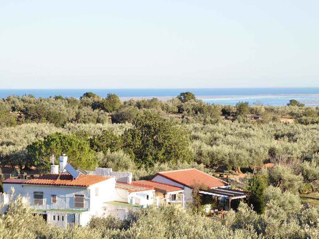 Maison d'hôtes Casa Rural Delta Del Ebro Ecoturismo à Camarles Extérieur photo