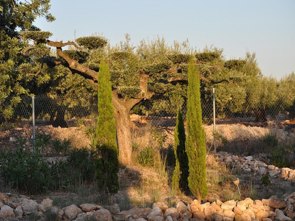 Maison d'hôtes Casa Rural Delta Del Ebro Ecoturismo à Camarles Extérieur photo